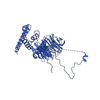 0949_6lqp_AF_v1-2
Cryo-EM structure of 90S small subunit preribosomes in transition states (State A)