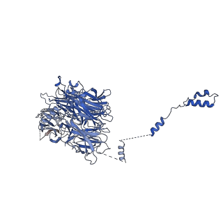 0949_6lqp_AG_v1-1
Cryo-EM structure of 90S small subunit preribosomes in transition states (State A)