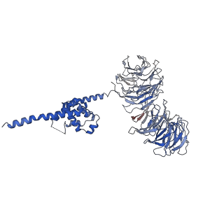 0949_6lqp_B3_v1-2
Cryo-EM structure of 90S small subunit preribosomes in transition states (State A)