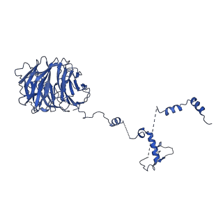 0949_6lqp_B8_v1-1
Cryo-EM structure of 90S small subunit preribosomes in transition states (State A)