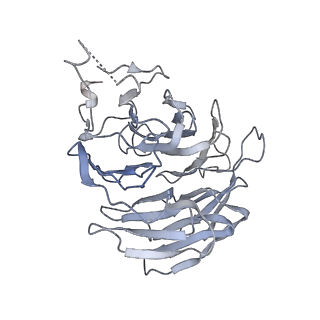 0949_6lqp_RA_v1-1
Cryo-EM structure of 90S small subunit preribosomes in transition states (State A)