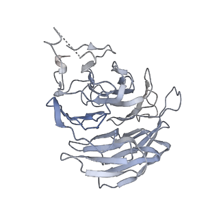 0949_6lqp_RA_v1-2
Cryo-EM structure of 90S small subunit preribosomes in transition states (State A)