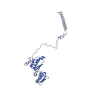 0949_6lqp_RC_v1-1
Cryo-EM structure of 90S small subunit preribosomes in transition states (State A)