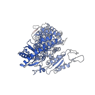 0949_6lqp_RE_v1-1
Cryo-EM structure of 90S small subunit preribosomes in transition states (State A)