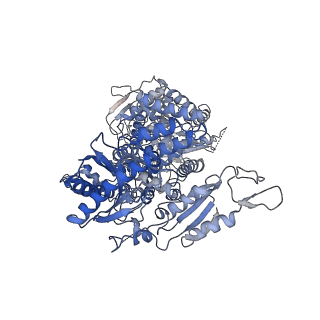 0949_6lqp_RE_v1-2
Cryo-EM structure of 90S small subunit preribosomes in transition states (State A)