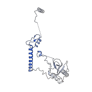 0949_6lqp_RF_v1-1
Cryo-EM structure of 90S small subunit preribosomes in transition states (State A)
