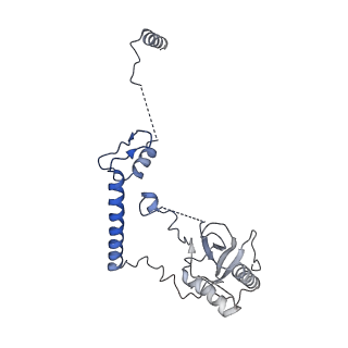 0949_6lqp_RF_v1-2
Cryo-EM structure of 90S small subunit preribosomes in transition states (State A)