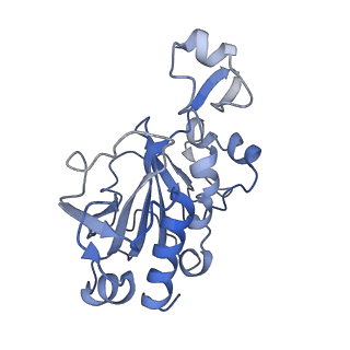 0949_6lqp_RG_v1-1
Cryo-EM structure of 90S small subunit preribosomes in transition states (State A)