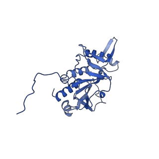 0949_6lqp_RH_v1-1
Cryo-EM structure of 90S small subunit preribosomes in transition states (State A)