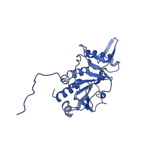 0949_6lqp_RH_v1-2
Cryo-EM structure of 90S small subunit preribosomes in transition states (State A)