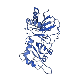 0949_6lqp_RI_v1-1
Cryo-EM structure of 90S small subunit preribosomes in transition states (State A)