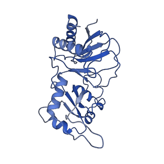 0949_6lqp_RI_v1-2
Cryo-EM structure of 90S small subunit preribosomes in transition states (State A)
