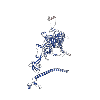 0949_6lqp_RJ_v1-1
Cryo-EM structure of 90S small subunit preribosomes in transition states (State A)