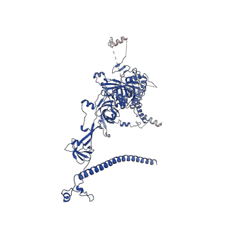 0949_6lqp_RJ_v1-2
Cryo-EM structure of 90S small subunit preribosomes in transition states (State A)