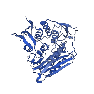 0949_6lqp_RK_v1-1
Cryo-EM structure of 90S small subunit preribosomes in transition states (State A)