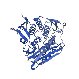 0949_6lqp_RK_v1-2
Cryo-EM structure of 90S small subunit preribosomes in transition states (State A)