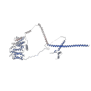 0949_6lqp_RN_v1-1
Cryo-EM structure of 90S small subunit preribosomes in transition states (State A)