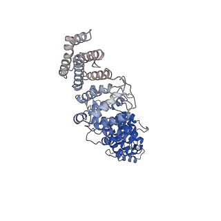 0949_6lqp_RO_v1-1
Cryo-EM structure of 90S small subunit preribosomes in transition states (State A)