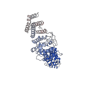 0949_6lqp_RO_v1-2
Cryo-EM structure of 90S small subunit preribosomes in transition states (State A)