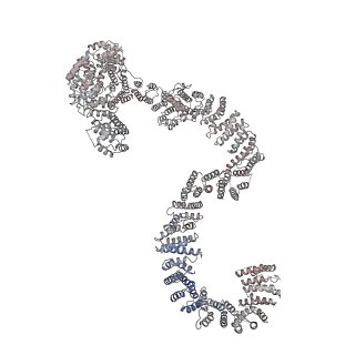 0949_6lqp_RP_v1-1
Cryo-EM structure of 90S small subunit preribosomes in transition states (State A)