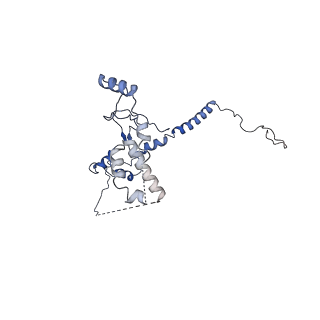 0949_6lqp_RQ_v1-1
Cryo-EM structure of 90S small subunit preribosomes in transition states (State A)