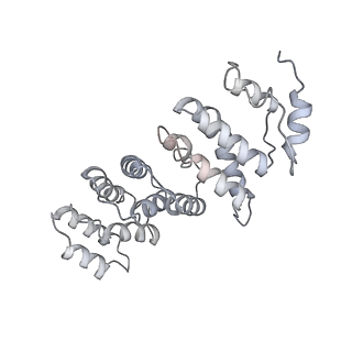 0949_6lqp_RS_v1-1
Cryo-EM structure of 90S small subunit preribosomes in transition states (State A)