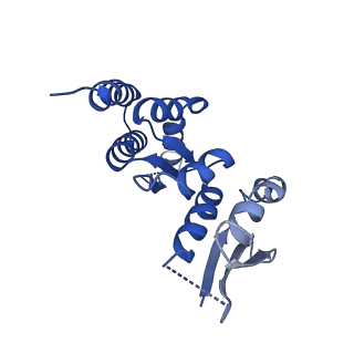 0949_6lqp_RT_v1-2
Cryo-EM structure of 90S small subunit preribosomes in transition states (State A)