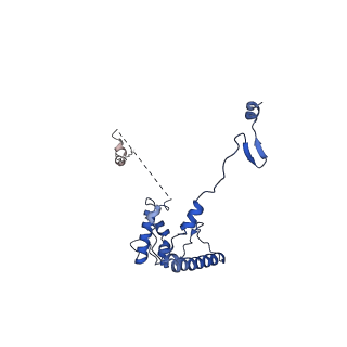 0949_6lqp_RV_v1-1
Cryo-EM structure of 90S small subunit preribosomes in transition states (State A)