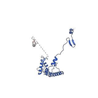 0949_6lqp_RV_v1-2
Cryo-EM structure of 90S small subunit preribosomes in transition states (State A)