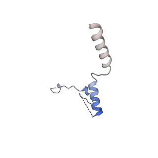 0949_6lqp_RW_v1-1
Cryo-EM structure of 90S small subunit preribosomes in transition states (State A)