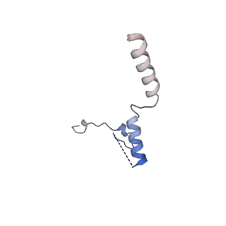 0949_6lqp_RW_v1-2
Cryo-EM structure of 90S small subunit preribosomes in transition states (State A)