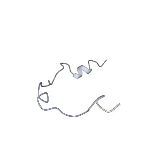 0949_6lqp_RY_v1-2
Cryo-EM structure of 90S small subunit preribosomes in transition states (State A)