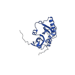 0949_6lqp_SC_v1-1
Cryo-EM structure of 90S small subunit preribosomes in transition states (State A)