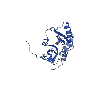 0949_6lqp_SC_v1-2
Cryo-EM structure of 90S small subunit preribosomes in transition states (State A)