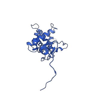 0949_6lqp_SG_v1-1
Cryo-EM structure of 90S small subunit preribosomes in transition states (State A)