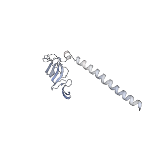0949_6lqp_SH_v1-1
Cryo-EM structure of 90S small subunit preribosomes in transition states (State A)