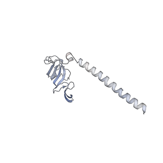 0949_6lqp_SH_v1-2
Cryo-EM structure of 90S small subunit preribosomes in transition states (State A)