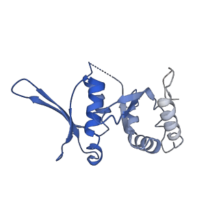 0949_6lqp_SI_v1-1
Cryo-EM structure of 90S small subunit preribosomes in transition states (State A)