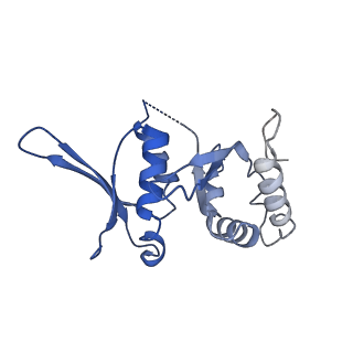 0949_6lqp_SI_v1-2
Cryo-EM structure of 90S small subunit preribosomes in transition states (State A)