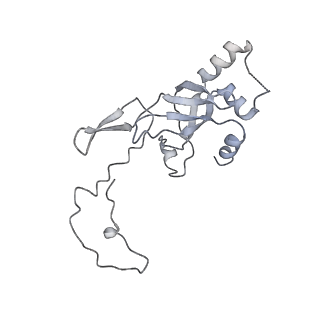 0949_6lqp_SJ_v1-1
Cryo-EM structure of 90S small subunit preribosomes in transition states (State A)