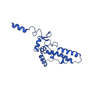 0949_6lqp_SK_v1-1
Cryo-EM structure of 90S small subunit preribosomes in transition states (State A)