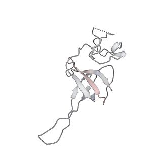 0949_6lqp_SM_v1-2
Cryo-EM structure of 90S small subunit preribosomes in transition states (State A)