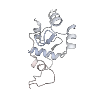 0949_6lqp_SN_v1-2
Cryo-EM structure of 90S small subunit preribosomes in transition states (State A)