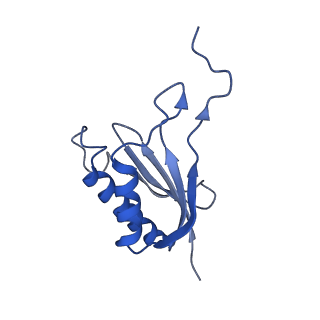 0949_6lqp_SP_v1-1
Cryo-EM structure of 90S small subunit preribosomes in transition states (State A)