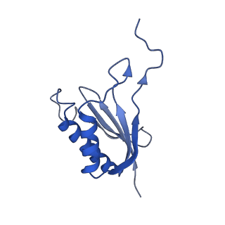 0949_6lqp_SP_v1-2
Cryo-EM structure of 90S small subunit preribosomes in transition states (State A)