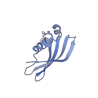 0949_6lqp_SZ_v1-2
Cryo-EM structure of 90S small subunit preribosomes in transition states (State A)