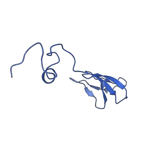 0949_6lqp_Sc_v1-1
Cryo-EM structure of 90S small subunit preribosomes in transition states (State A)