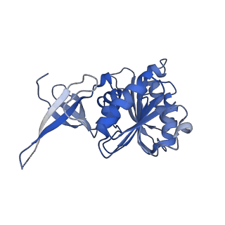 0950_6lqq_3B_v1-1
Cryo-EM structure of 90S small subunit preribosomes in transition states (State B)