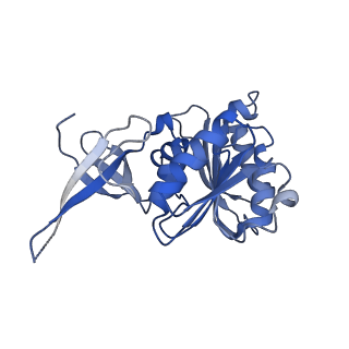 0950_6lqq_3B_v1-2
Cryo-EM structure of 90S small subunit preribosomes in transition states (State B)