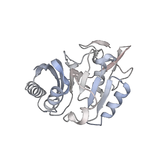 0950_6lqq_3C_v1-1
Cryo-EM structure of 90S small subunit preribosomes in transition states (State B)